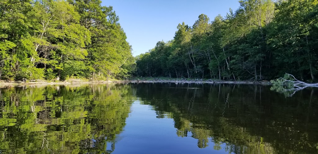 Tarmigan Camping | 907 CH Du Lac Poisson Blanc, Notre-Dame-du-Laus, QC J0W, Canada | Phone: (819) 767-2559