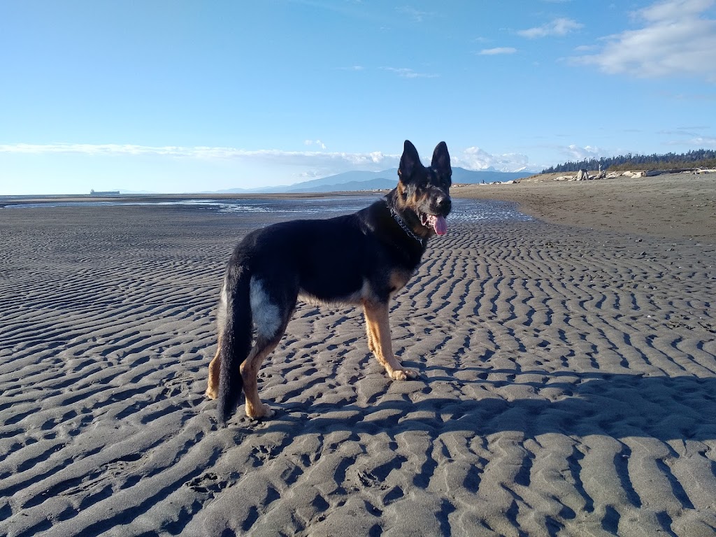 DogSport Gear | 5735 203A St, Langley, BC V3A 1W7, Canada | Phone: (604) 532-5770