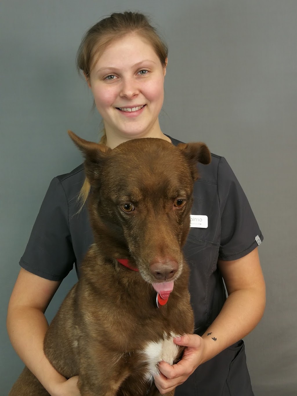 Veterinary Clinic Ile Jesus | 3625 Boulevard Dagenais O, Laval, QC H7P 5C9, Canada | Phone: (450) 963-6612