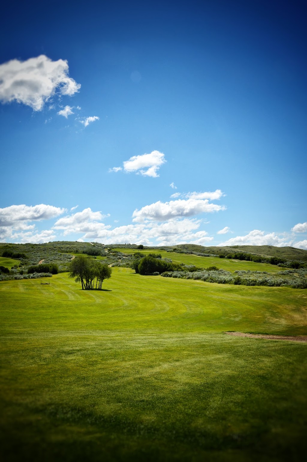 Sage View Golf Course | Palliser Regional Park, Riverhurst, SK S0H 3P0, Canada | Phone: (306) 353-2065