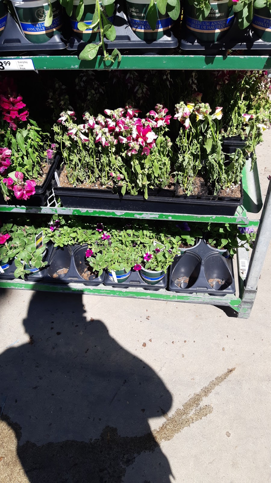 Lowes Home Improvement | 10450 42 Ave NW, Edmonton, AB T6J 6X4, Canada | Phone: (780) 437-8080