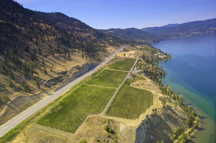 Fitzpatrick Family Vineyards at Greata Ranch | 659 BC-97, Peachland, BC V0H 1X9, Canada | Phone: (250) 767-2768