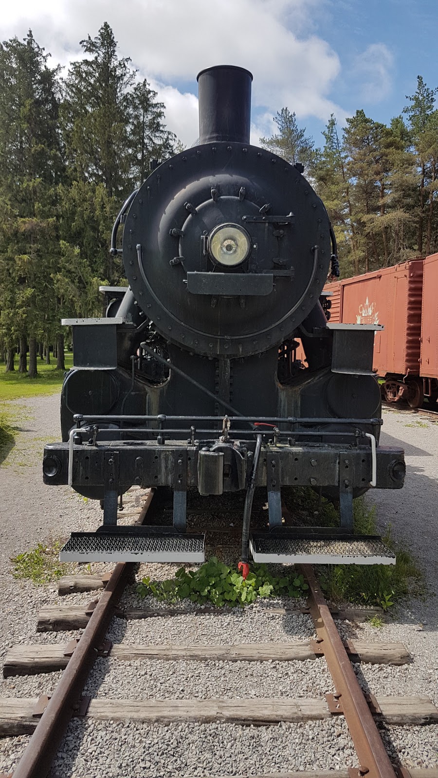 Lindsay Memorial Park | 367 Lindsay St S, Lindsay, ON K9V 2N2, Canada