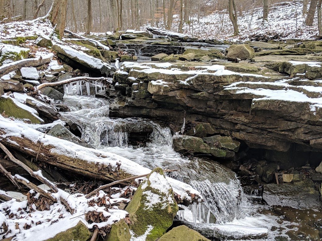 Rolin T Grant Gulf Wilderness Park | 445 Glenwood Ave, Lockport, NY 14094, USA