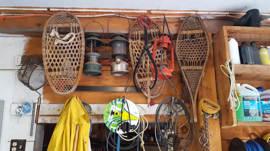 Hass Live Bait | Alban, ON P0M 1A0, Canada | Phone: (705) 857-3096
