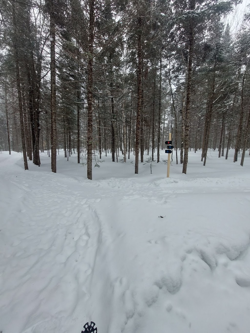 FORÊT Ô CASCADES | 4300 Chem. Johanne, Rawdon, QC J0K 1S0, Canada | Phone: (450) 944-0165