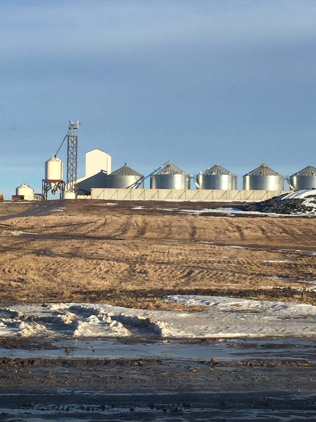 Klassen Agriventures Ltd. | 488 Box, Linden, AB T0M 1J0, Canada | Phone: (403) 546-2420