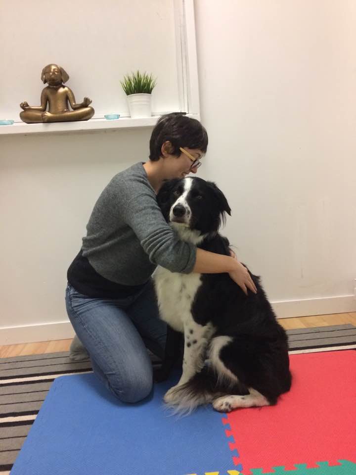 All Paws Massage | Discover Dogs, 701 Kingsway, Vancouver, BC V5T 3K6, Canada | Phone: (604) 700-4107