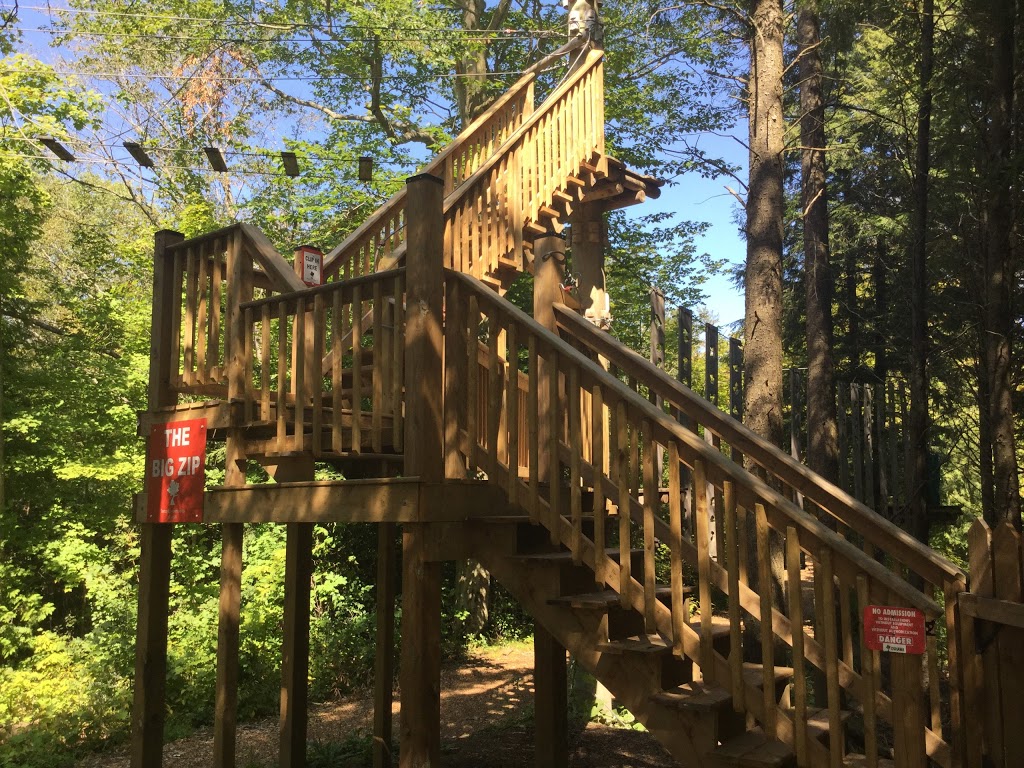 Treetop Eco-Adventure Park | 53 Snow Ridge Ct, Oshawa, ON L1H 7K4, Canada | Phone: (905) 655-1113