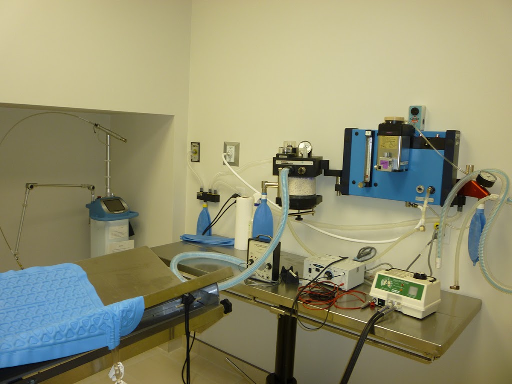 Clinique Vétérinaire Bellefeuille | 1082 Boulevard Roland-Godard, Saint-Jérôme, QC J7Y 4C6, Canada | Phone: (450) 565-0751