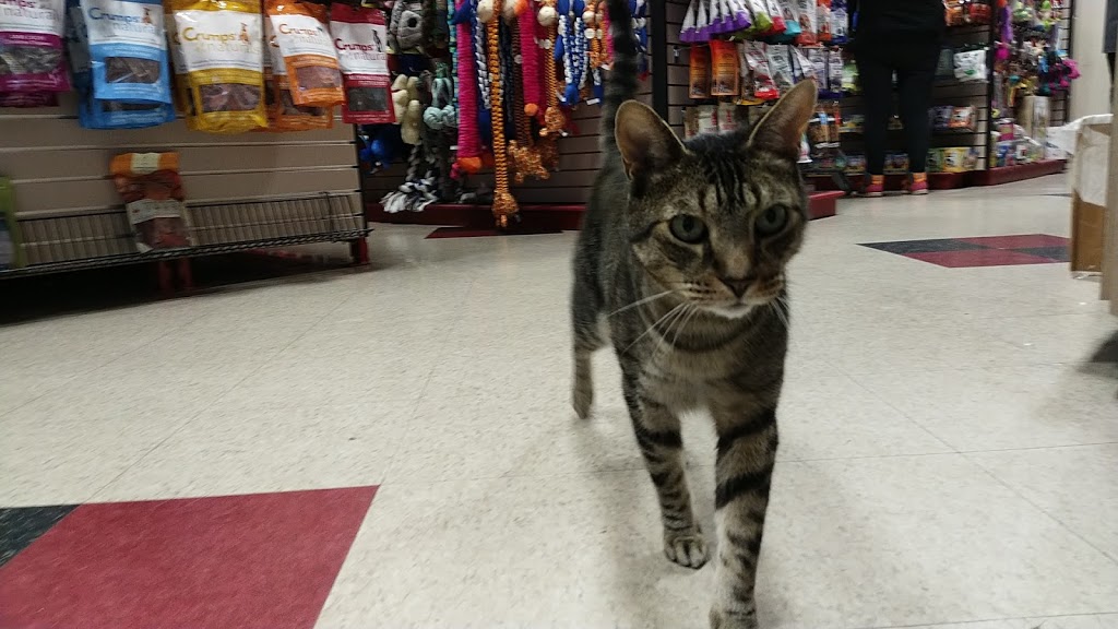 Global Pet Foods | 1154 Chemong Rd, Peterborough, ON K9H 7J6, Canada | Phone: (705) 743-2727