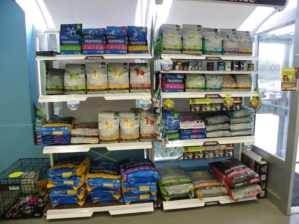 Doogans Pet Centre | 400 Bayfield St, Barrie, ON L4M 5A1, Canada | Phone: (705) 727-0182