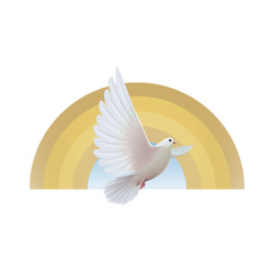 Tranquility Wellness and Yoga | 623 The Queensway, Etobicoke, ON M8Y 1K7, Canada | Phone: (647) 352-5777