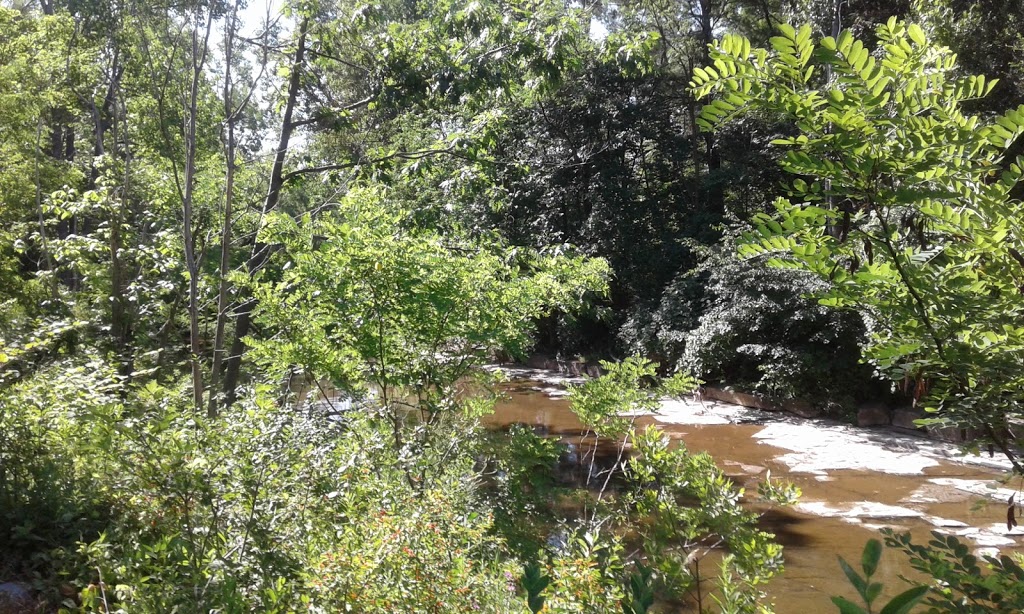 Anna Mae Bacon Bird Sanctuary | 1-85 NY-391, Hamburg, NY 14075, USA