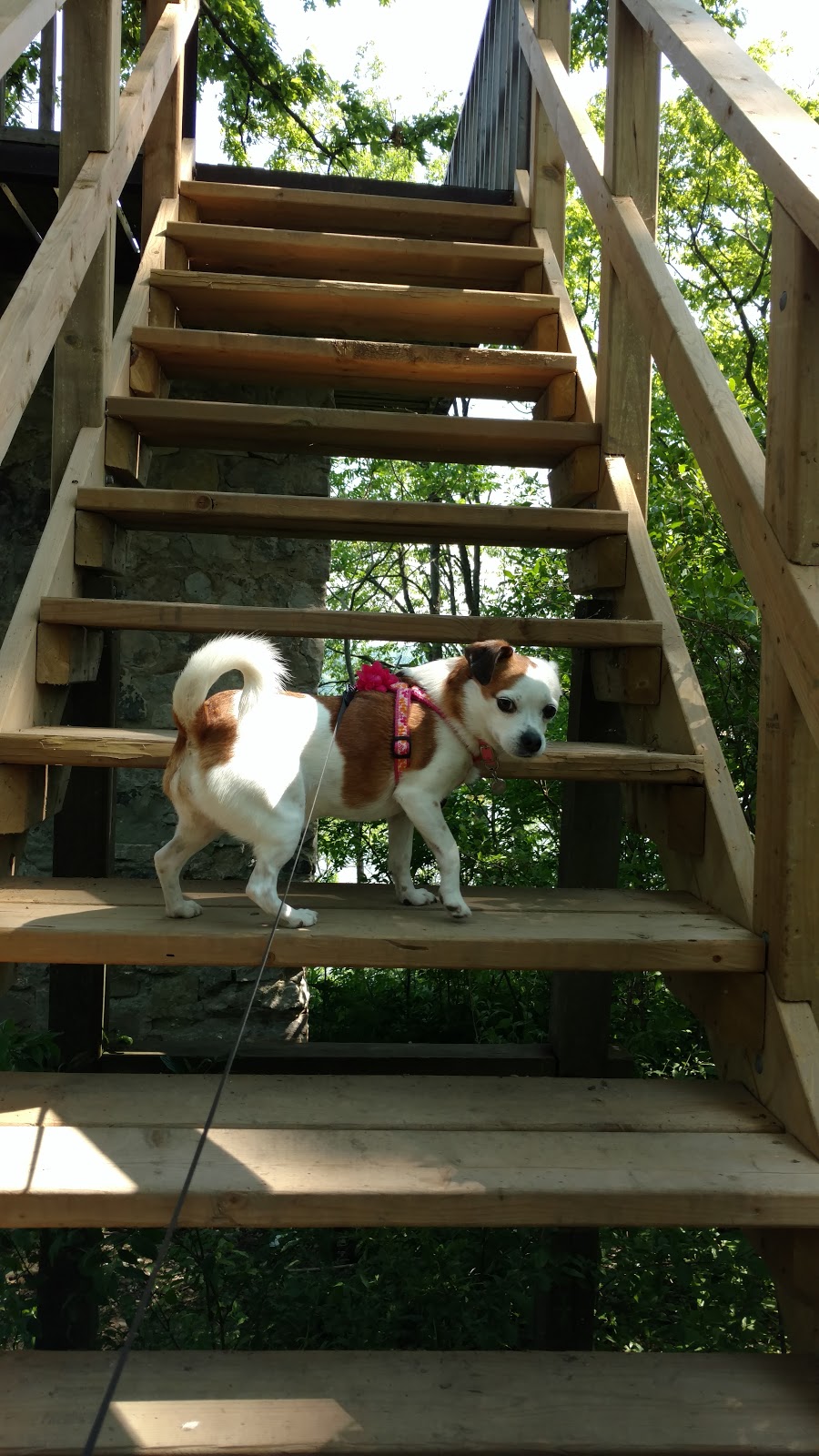 Bulls Point Lookout | Bulls Point Trail, Dundas, ON L9H 5Y6, Canada