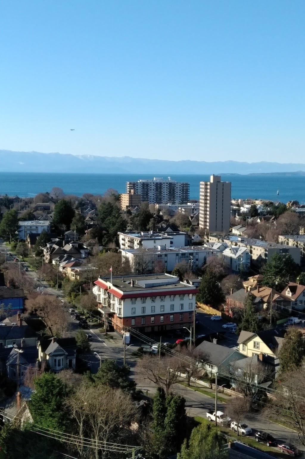 Orchard House | 647 Michigan St, Victoria, BC V8V 1S9, Canada | Phone: (250) 383-1185