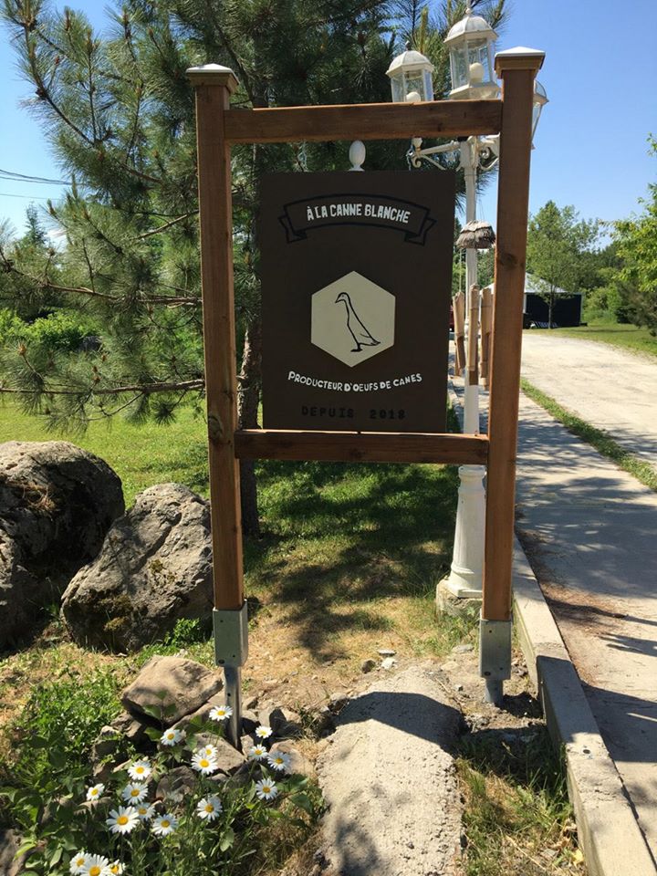 À la canne blanche | 14 Rue Robert, Stukely, QC J0E 2J0, Canada | Phone: (450) 525-4106