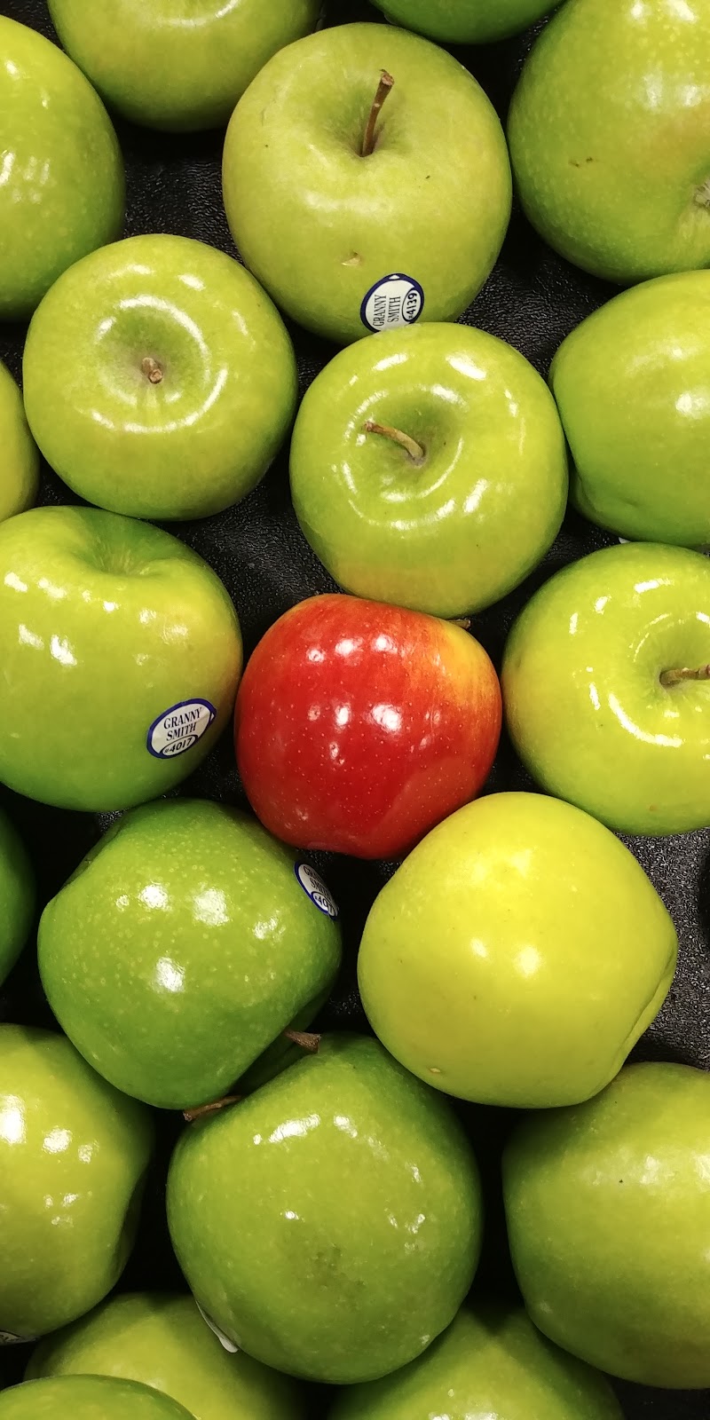 Food Basics | 13231 Yonge St, Richmond Hill, ON L4E 3L2, Canada | Phone: (905) 773-9023