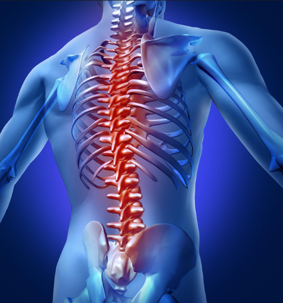 StayFit Physio and Spinal Decompression Centre | 1580 Merivale Rd #403, Nepean, ON K2G 4B5, Canada | Phone: (613) 225-8956