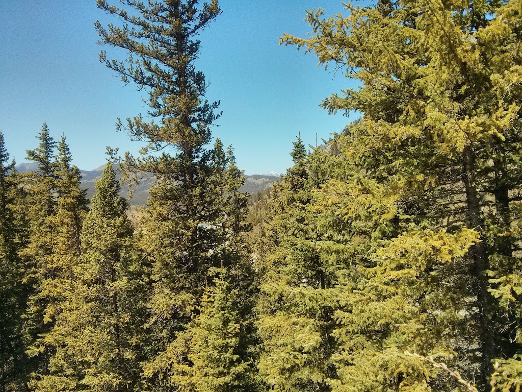 Bob Creek Wildland | Coleman, AB T0K 0M0, Canada | Phone: (403) 627-1165