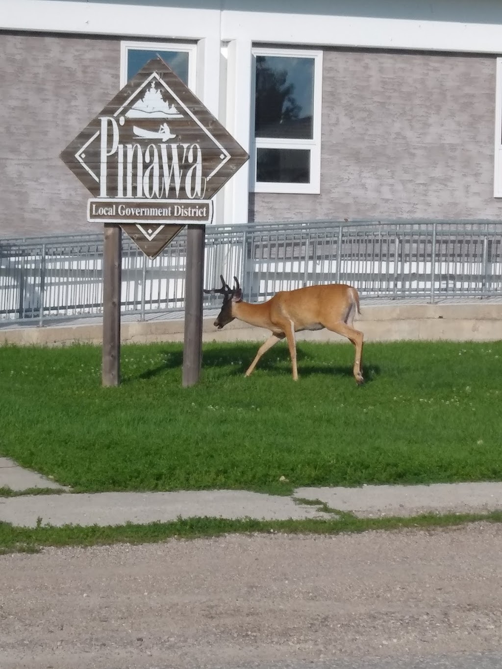 Pinawa Local Government District Office | 36 Burrows Rd, Pinawa, MB R0E 1L0, Canada | Phone: (204) 753-5100