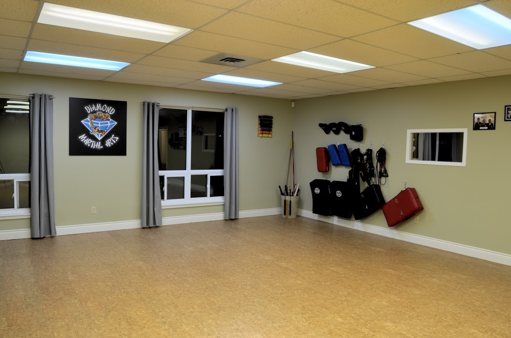 Diamond Martial Arts | 1733 Industrial Rd, Cambridge, ON N3H 5G7, Canada | Phone: (519) 897-0832