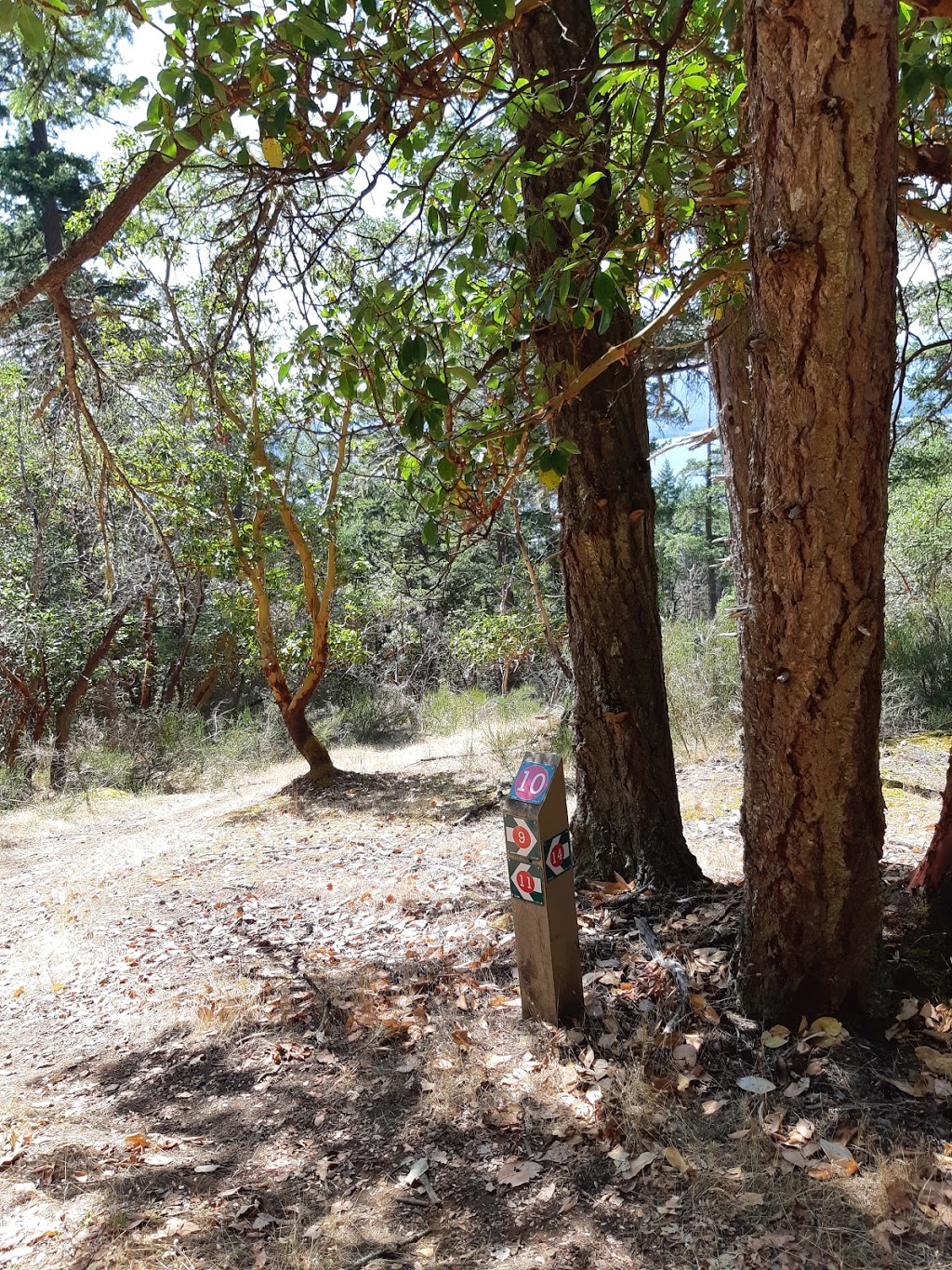 Channel Ridge Trails - Pringle Farm Road Access | Pringle Farm Rd, Salt Spring Island, BC V8K 2Y2, Canada | Phone: (250) 360-3000
