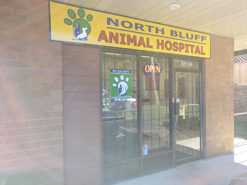North Bluff Animal Hospital | 13971 16 Ave, Surrey, BC V4A 1P8, Canada | Phone: (604) 531-0771