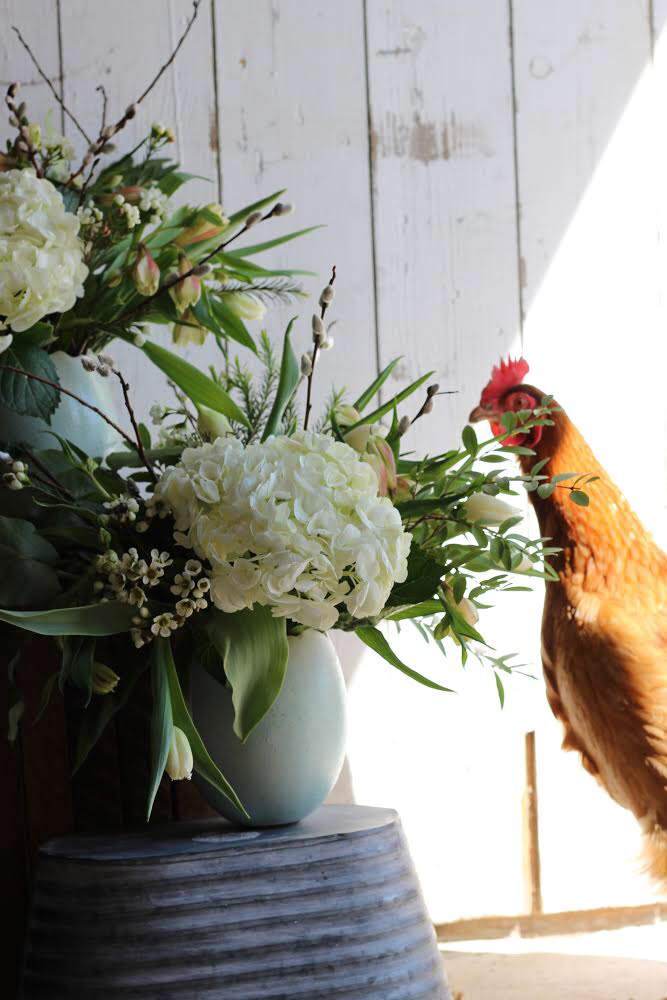 Two Birds One Stone Farm (Flower Farm) | 3442 NS-359, Centreville, NS B0P 1J0, Canada | Phone: (902) 385-8818