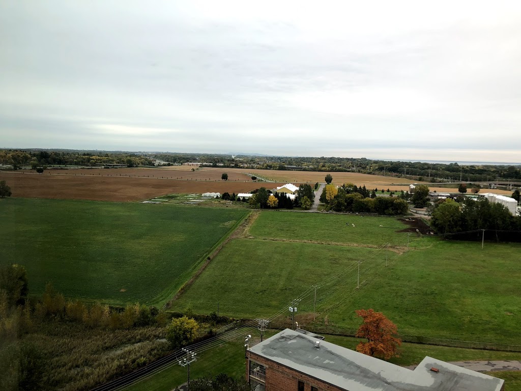 Ste. Annes Hospital | 305 Boul des Anciens-Combattants, Sainte-Anne-de-Bellevue, QC H9X 1Y9, Canada | Phone: (514) 457-3440