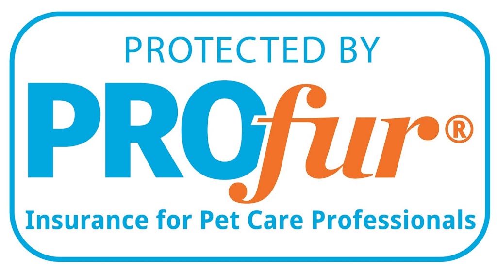 Frolicking Pups (2019) | 10 Rosewood Dr, Sherwood Park, AB T8A 2H2, Canada | Phone: (780) 991-2958