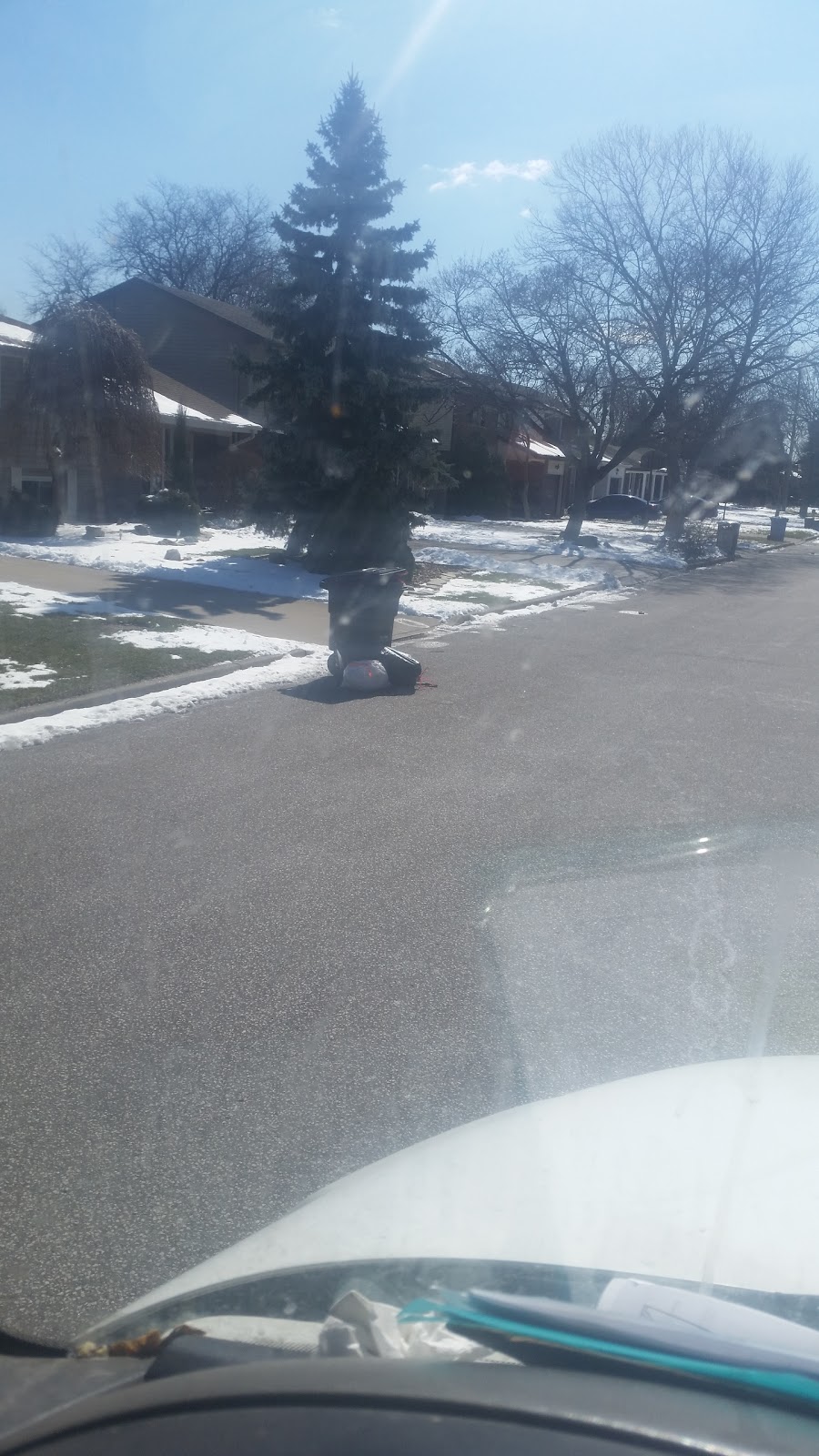 Realtor Park, East Entrance | 42.320466, -82.951101, Windsor, ON N8S 2T5, Canada | Phone: (519) 253-2300