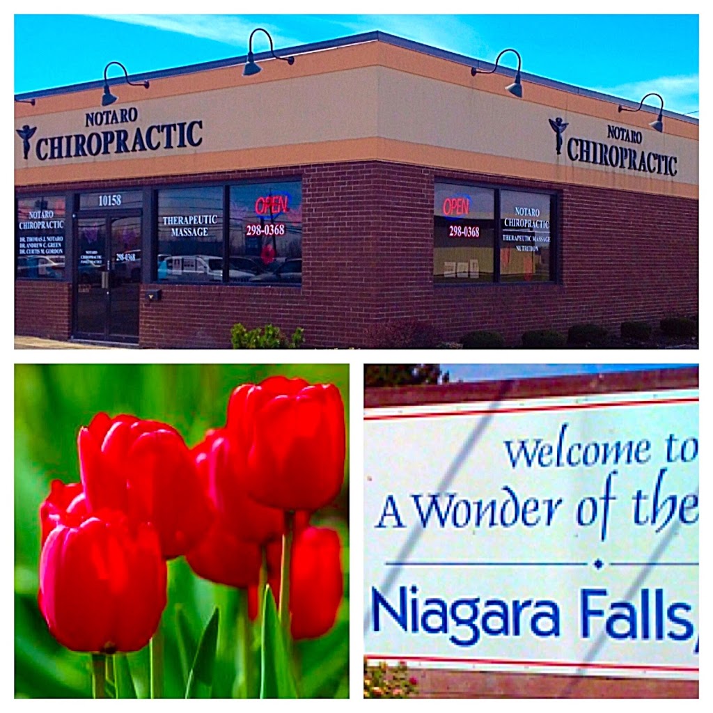 Thomas J. Notaro DC | 10158 Niagara Falls Blvd, Niagara Falls, NY 14304, USA | Phone: (716) 298-0368