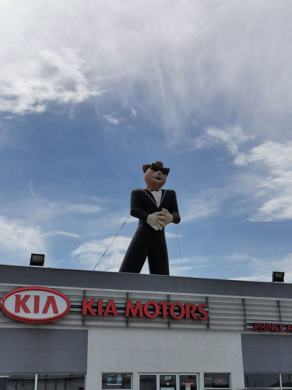 Kia of Prince Albert | 215 38 St E, Prince Albert, SK S6W 1A5, Canada | Phone: (306) 764-3933