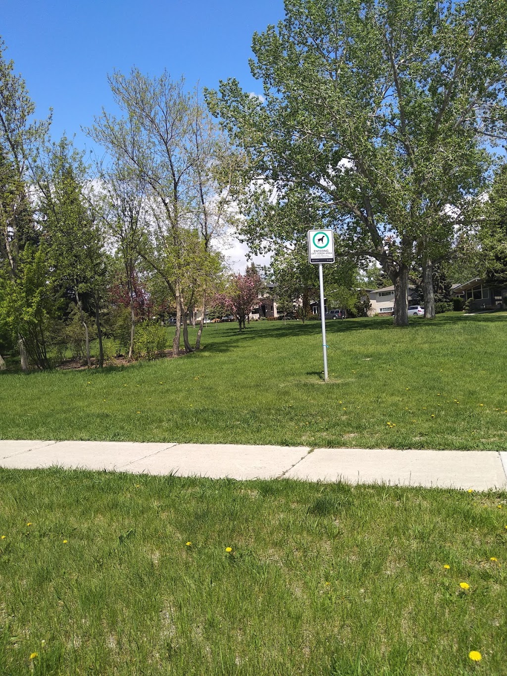 Charleswood Area 2 Off Leash Dog Park | 291 Carragana Crescent NW, Calgary, AB T2L 1B1, Canada