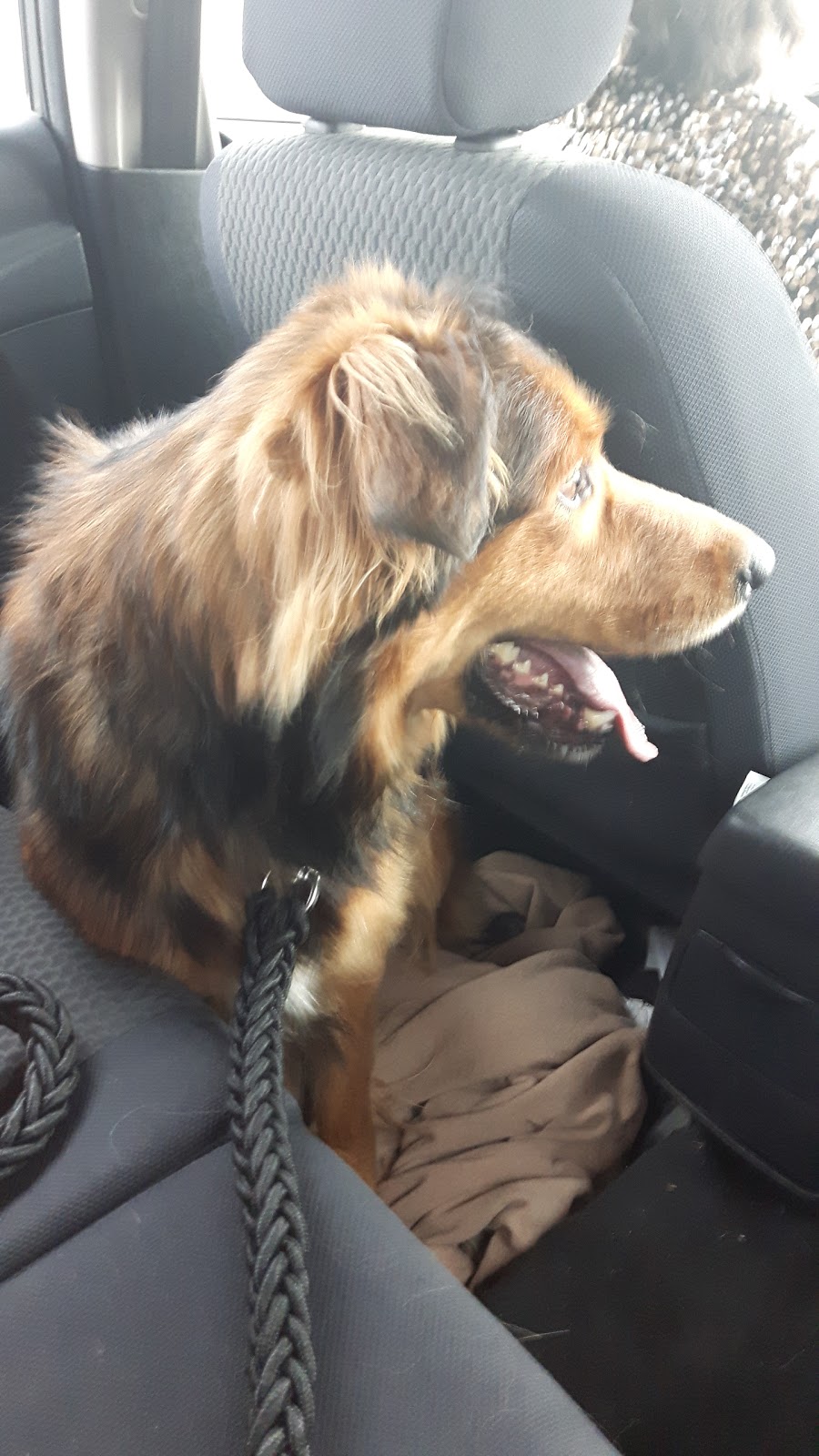 The Lincoln County Humane Society Animal Clinic | 160 Fourth Ave, St. Catharines, ON L2S 0B6, Canada | Phone: (905) 688-7722