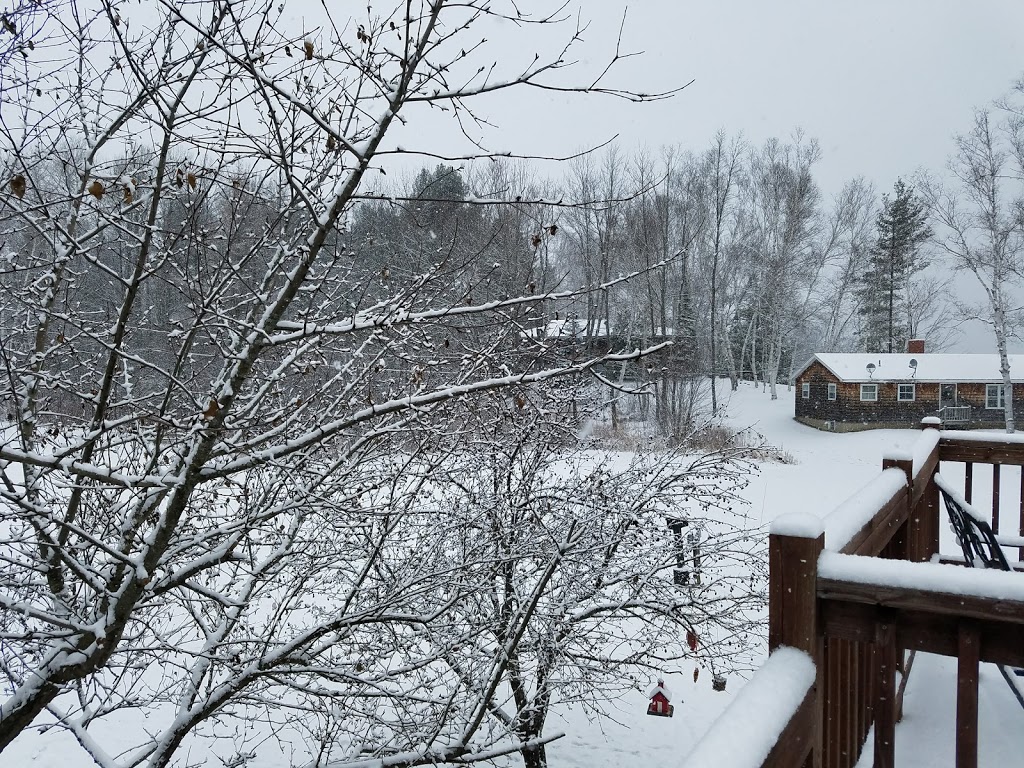 Waters Edge B & B | 324 Wishing Well Ave, Newport, VT 05855, USA | Phone: (802) 334-1840