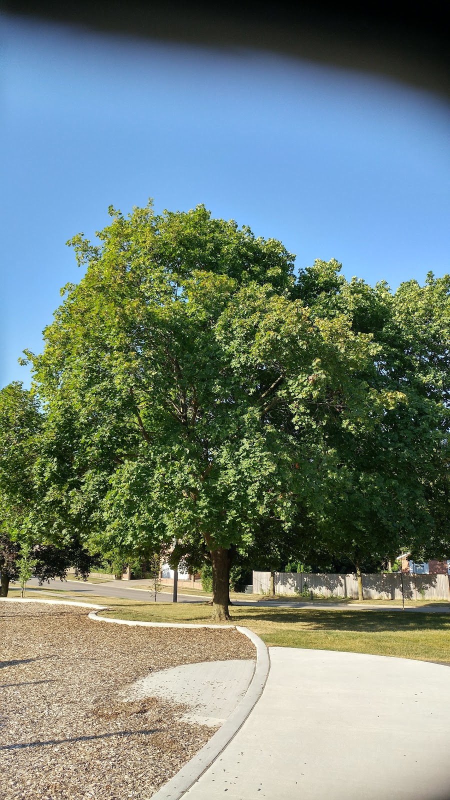 Conacher Park | Conacher Park, 645 Conacher Dr, North York, ON M2M 2P4, Canada | Phone: (416) 338-4386