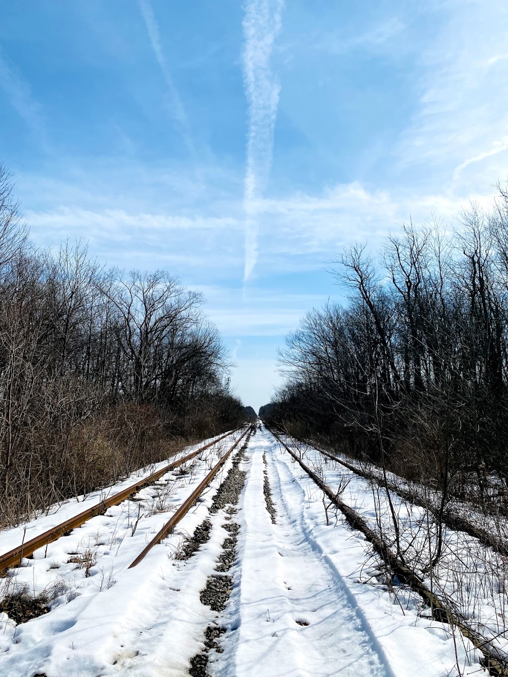 Sparky Stars Farm & Home | 8422 Netherby Rd, Niagara Falls, ON L3B 5N7, Canada | Phone: (519) 580-8695