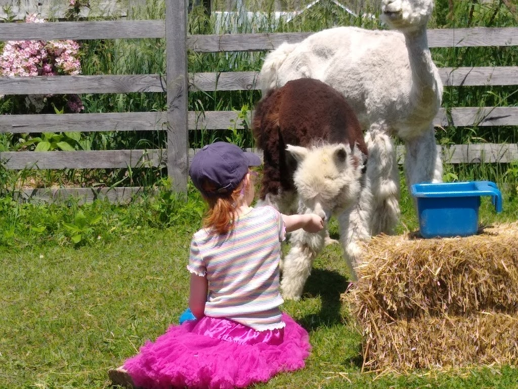 Noble Beast Farms | 14935 Loyalist Pkwy, Bloomfield, ON K0K 1G0, Canada | Phone: (613) 970-4799