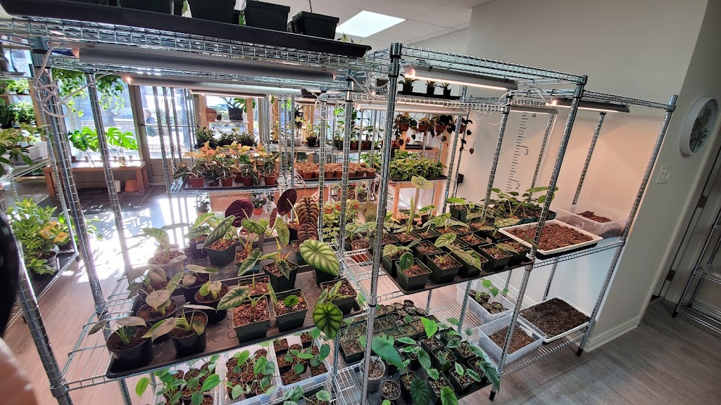 veryplants | 29 Rue Sainte-Anne, Sainte-Anne-de-Bellevue, QC H9X 1L2, Canada | Phone: (514) 500-2232