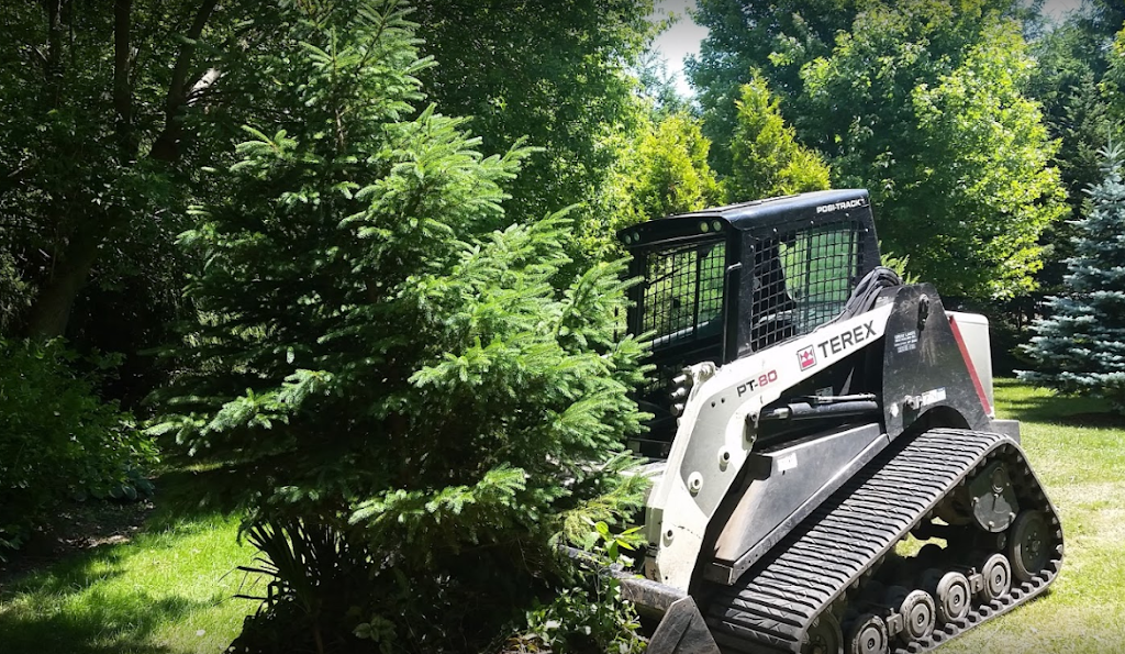 Beaver Tree Removal | 119 Guest Ct, St. Marys, ON N4X 1E5, Canada | Phone: (519) 857-8215