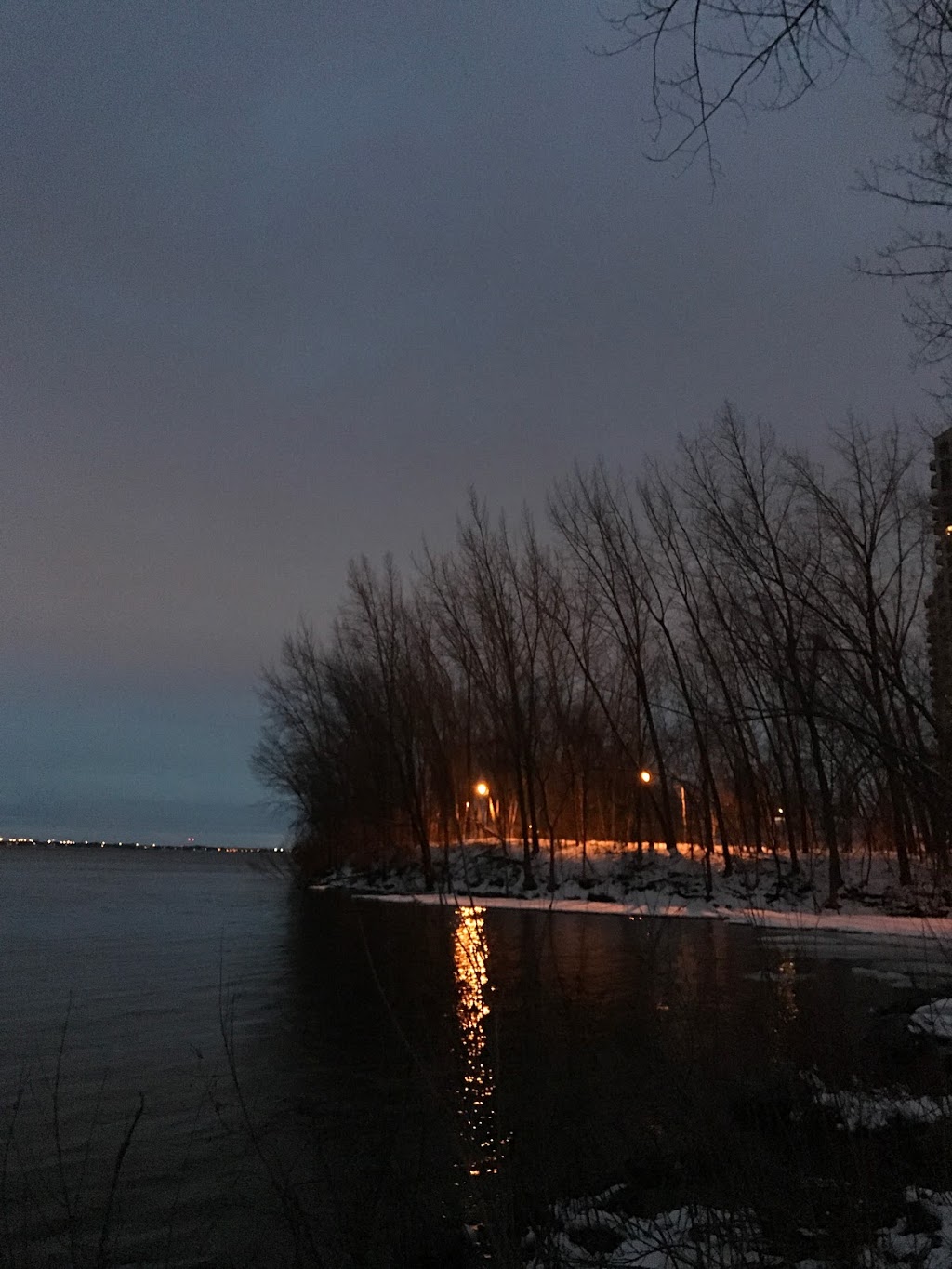 Sommet Sur Le Fleuve | 100 Avenue des Sommets, Verdun, QC H3E 1Z8, Canada | Phone: (514) 761-5791