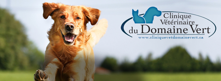 Veterinary Clinic Domaine Vert inc. | 11600 Montée Sainte Marianne, Mirabel, QC J7J 2A9, Canada | Phone: (450) 437-3337