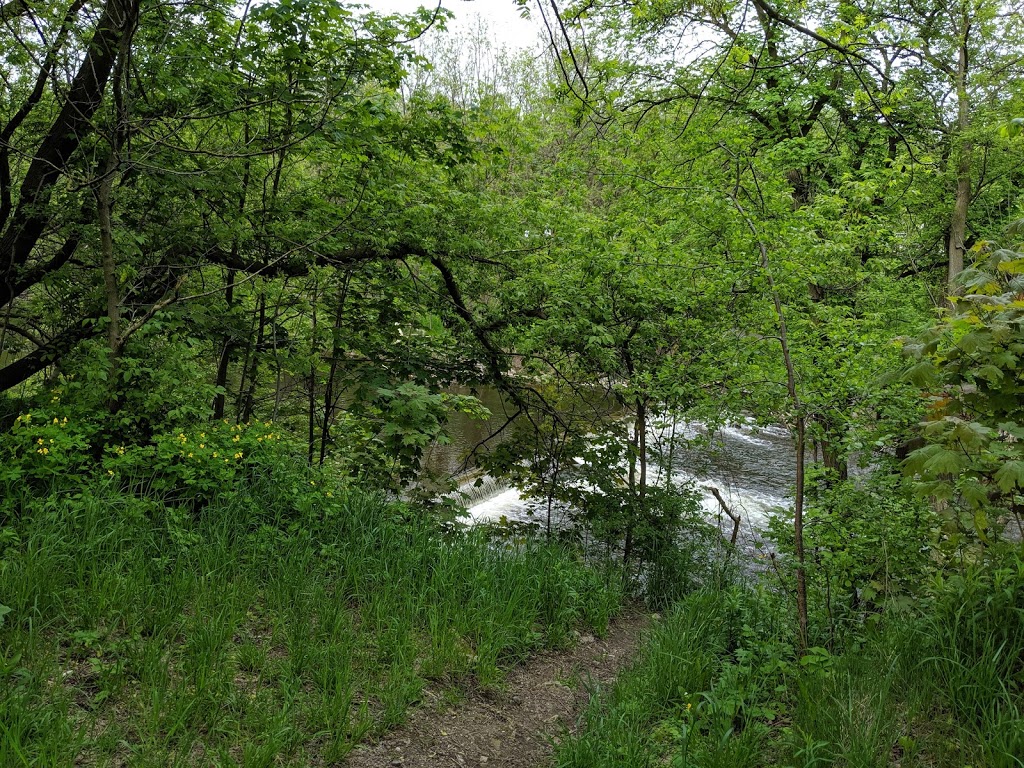 Goldie Mill Park | 75 Cardigan St, Guelph, ON N1H 3Z7, Canada