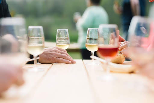 Redtail Vineyards | 422 Partridge Hollow Rd, Consecon, ON K0K 1T0, Canada | Phone: (613) 965-0893