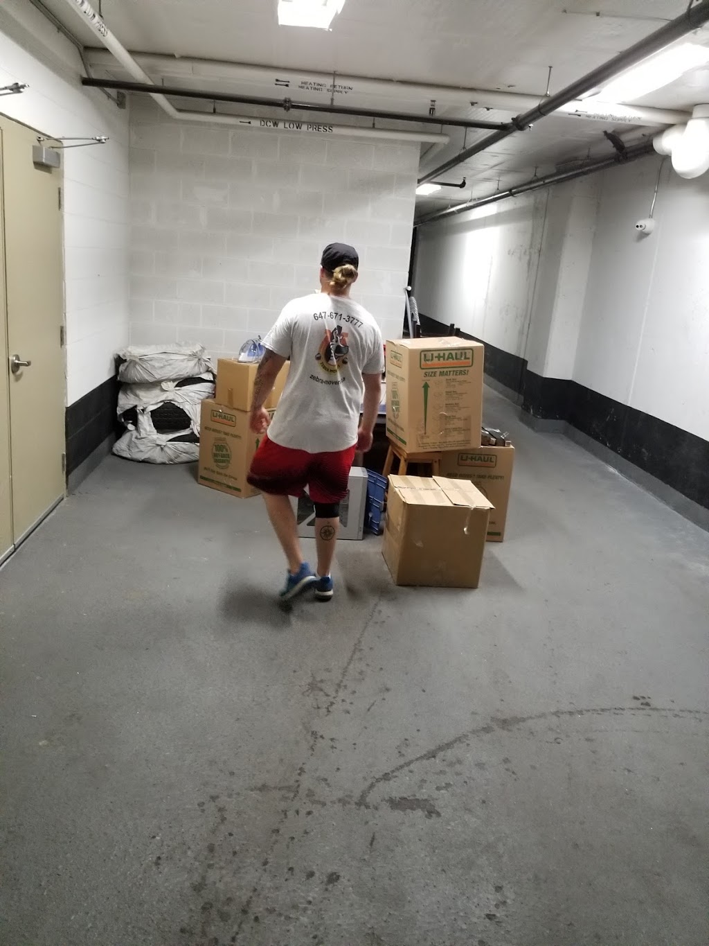 Zebra Movers Newmarket | 98 Jordanray Blvd, Newmarket, ON L3X 2P8, Canada | Phone: (905) 657-9207