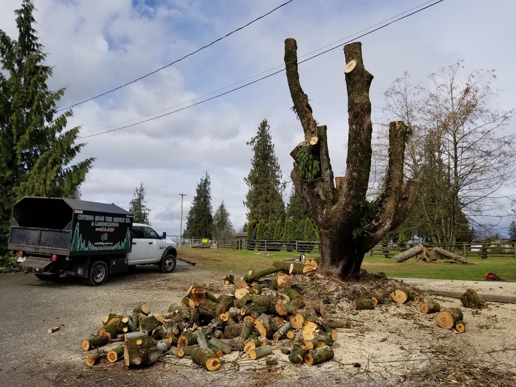 Cutting Edge Tree Service Ltd. | 8597 Henderson St, Mission, BC V2V 7P9, Canada | Phone: (604) 615-6159