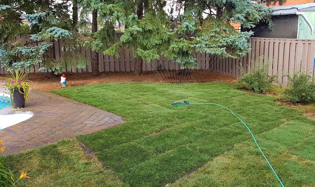 Boynton Bros Sod Supply | 12805 ON-27, Nobleton, ON L0G 1N0, Canada | Phone: (905) 859-4469