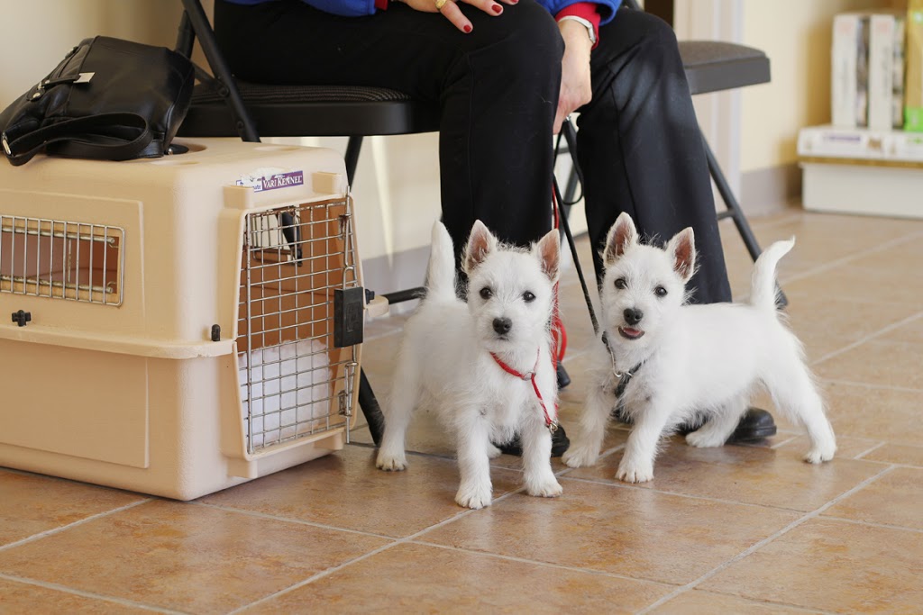 Centrepointe Animal Hospital | 261 Centrepointe Dr, Nepean, ON K2G 6E8, Canada | Phone: (613) 226-6789